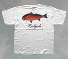 Fish T-Shirts